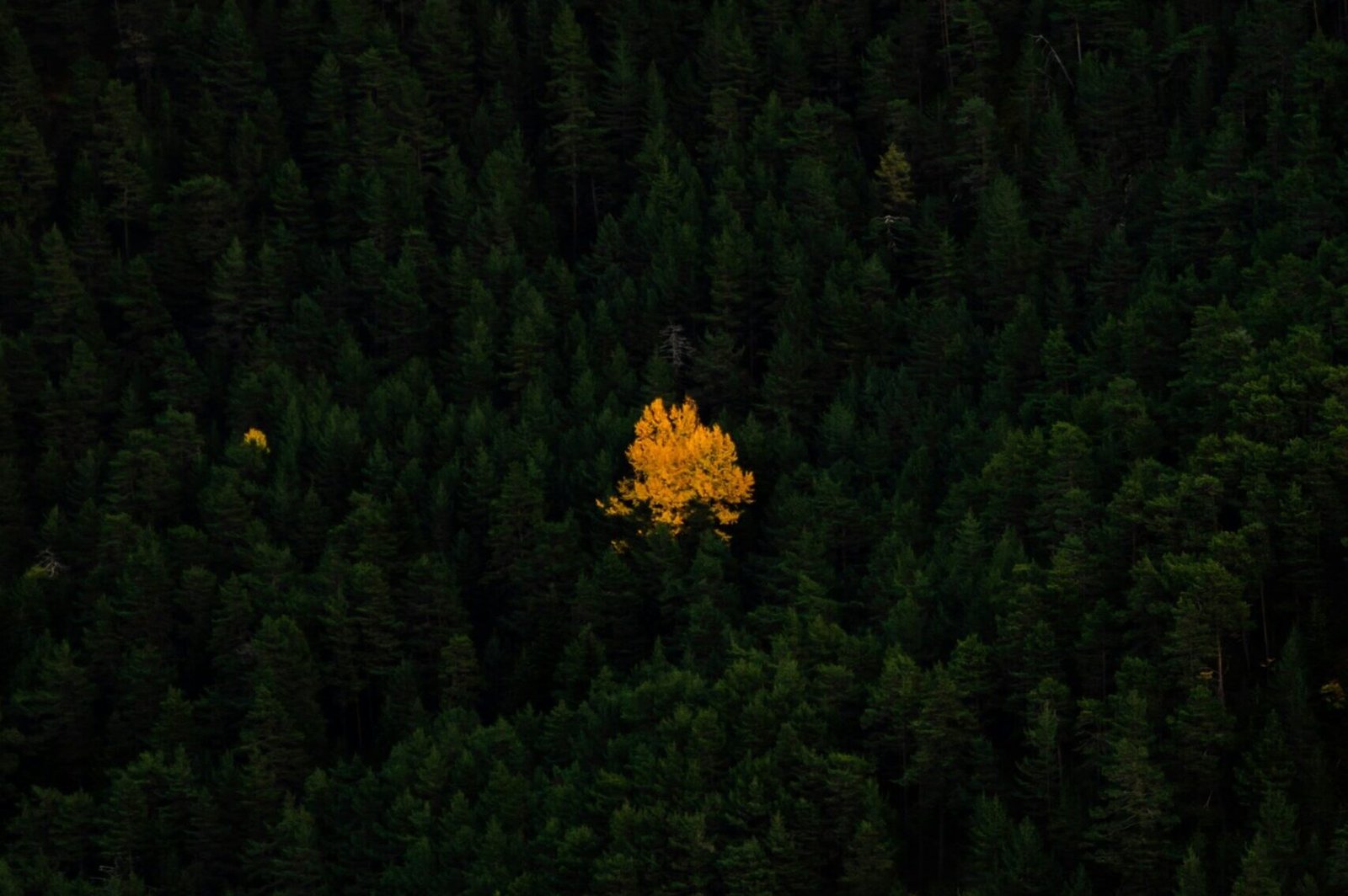 04: Confidence, Self Respect, Sociality